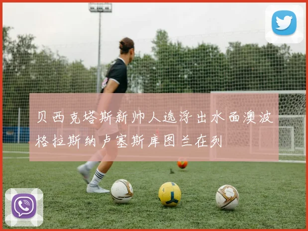 贝西克塔斯新帅人选浮出水面澳波格拉斯纳卢塞斯库图兰在列