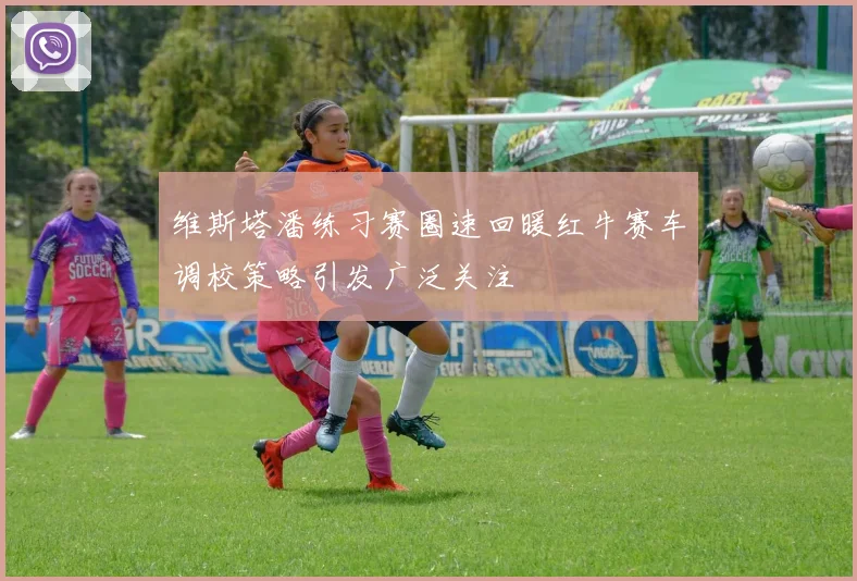 维斯塔潘练习赛圈速回暖红牛赛车调校策略引发广泛关注