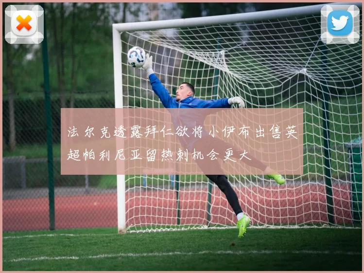 法尔克透露拜仁欲将小伊布出售英超帕利尼亚留热刺机会更大