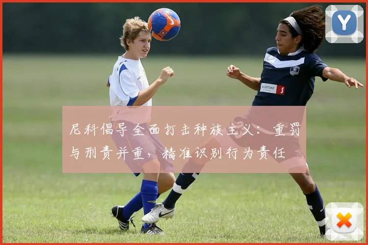 尼科倡导全面打击种族主义：重罚与刑责并重，精准识别行为责任